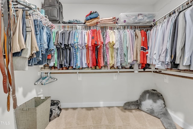1725 River Club Way, Franklinton, NC 27525 - spacious closet featuring carpet