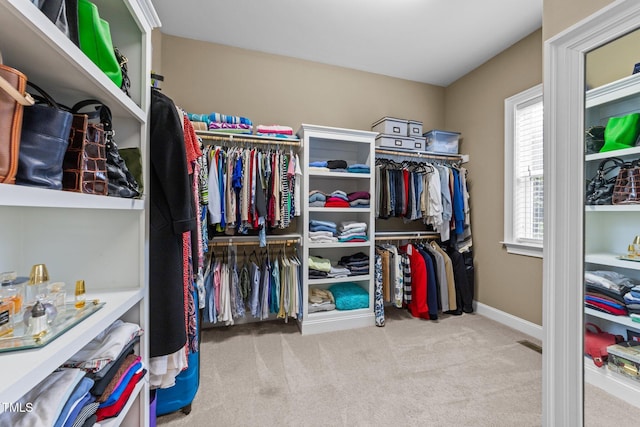 5005 Clyden Cv, Raleigh, NC 27612 - walk in closet with carpet floors