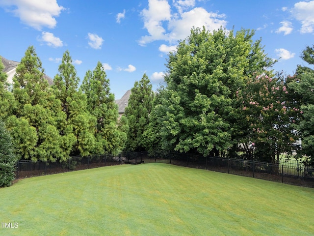 5005 Clyden Cv, Raleigh, NC 27612 - view of yard