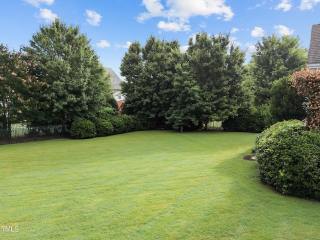 5005 Clyden Cv, Raleigh, NC 27612 - view of yard