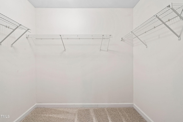 306 Kirkeenan Cir, Morrisville, NC 27560 - spacious closet with carpet floors