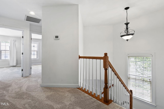 306 Kirkeenan Cir, Morrisville, NC 27560 - hallway featuring an upstairs landing, healthy amount of natural light, and carpet flooring