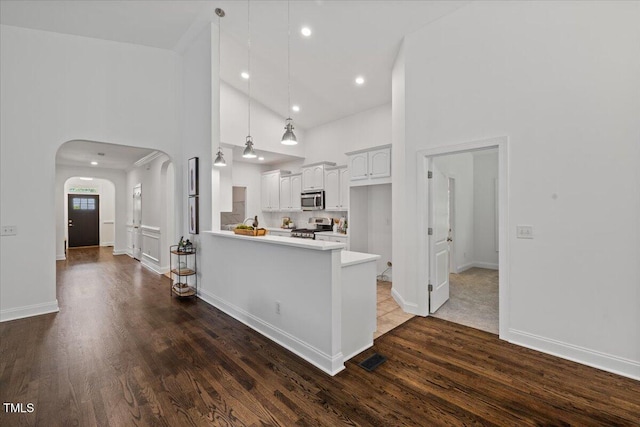 49 Brookridge Ct, Pittsboro, NC 27312 - kitchen featuring appliances with stainless steel finishes, high vaulted ceiling, arched walkways, a peninsula, and wood finished floors