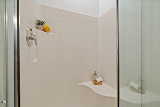 49 Brookridge Ct, Pittsboro, NC 27312 - bathroom featuring a shower stall