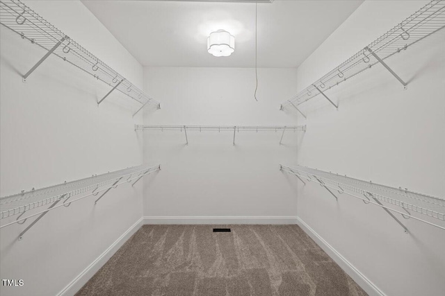 49 Brookridge Ct, Pittsboro, NC 27312 - spacious closet with carpet