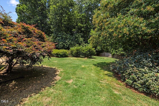 49 Brookridge Ct, Pittsboro, NC 27312 - view of yard