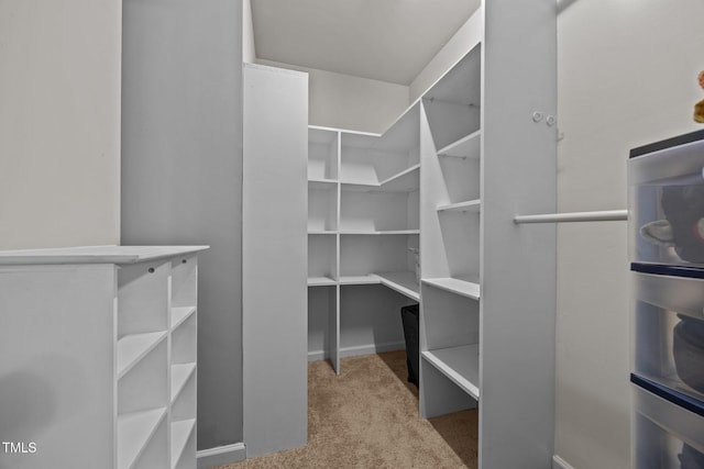 305 Justice Heights St, Apex, NC 27502 - walk in closet with carpet flooring