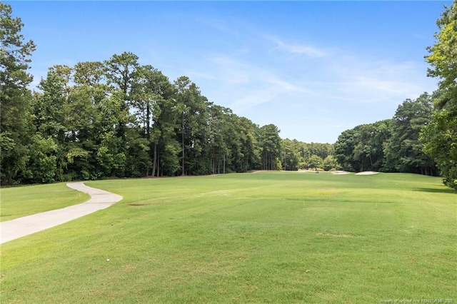16 Traceway, Sanford, NC 27332 - photo 48