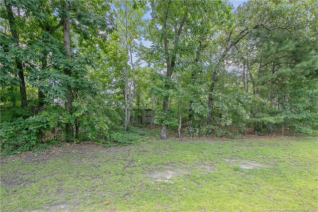 1234 Micahs Way N, Spring Lake, NC 28390 - view of green lawn with a forest view