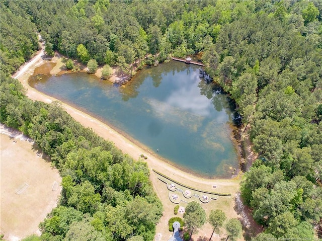 1234 Micahs Way N, Spring Lake, NC 28390 - view of property location with a heavily wooded area and a large body of water