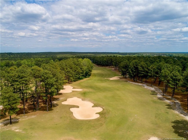 1234 Micahs Way N, Spring Lake, NC 28390 - drone / aerial view of a golf course