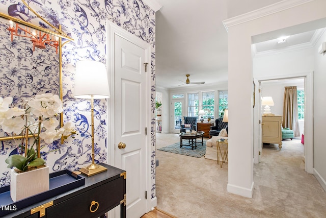 116 Northbrook Dr Unit 303, Raleigh, NC 27609 - hall with light colored carpet, crown molding, and wallpapered walls