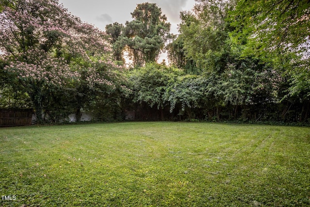 2331 Stevens Rd, Raleigh, NC 27610 - view of yard