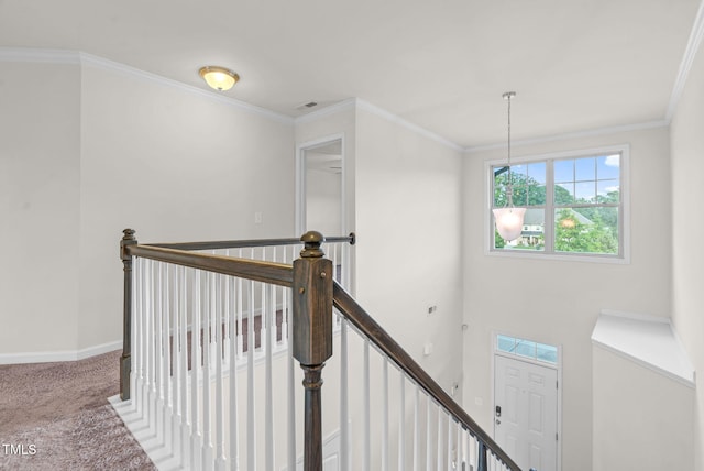 7817 Elmshire Way, Raleigh, NC 27616 - hallway featuring an upstairs landing, carpet, and crown molding