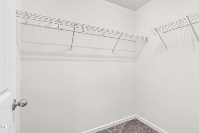 7817 Elmshire Way, Raleigh, NC 27616 - walk in closet featuring dark colored carpet