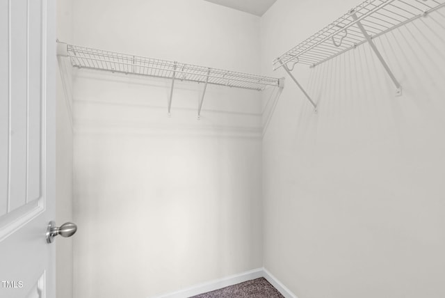 7817 Elmshire Way, Raleigh, NC 27616 - walk in closet with carpet flooring