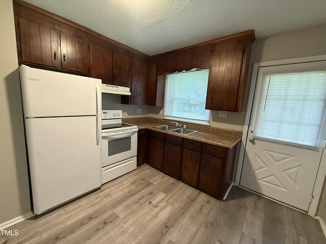 306 N Discovery St Unit A, B, C, D, Rocky Mount, NC 27801 - kitchen with white appliances, under cabinet range hood, light wood-type flooring, dark brown cabinets, and a textured ceiling