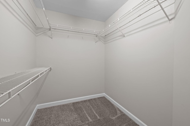 3 Fieldcrest Ct, Durham, NC 27713 - walk in closet featuring carpet floors