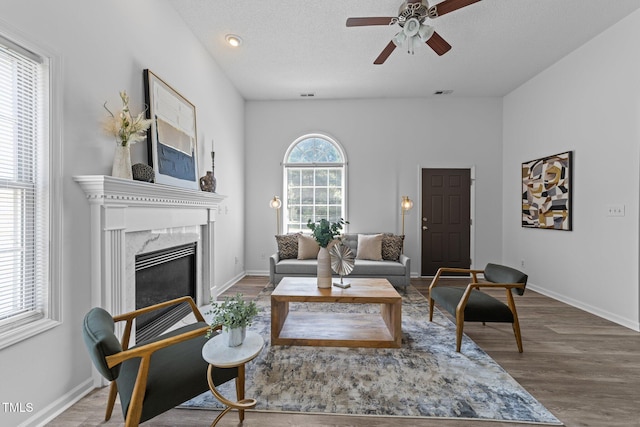 4812 Morecambe Way, Apex, NC 27539 - living area with a premium fireplace, a ceiling fan, wood finished floors, and a textured ceiling