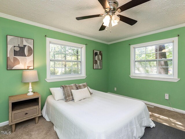 1831 Washington Dr, Hillsborough, NC 27278 - carpeted bedroom with multiple windows, a textured ceiling, ornamental molding, and ceiling fan