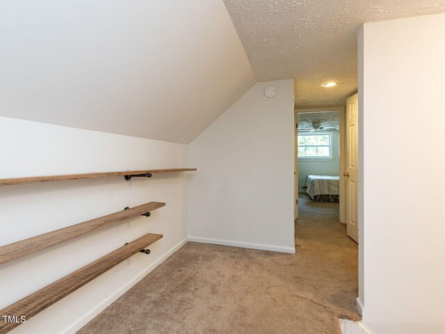 1831 Washington Dr, Hillsborough, NC 27278 - spacious closet with light colored carpet and lofted ceiling