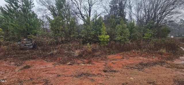 235 Madison Rd, China Grove, NC 28023 - photo 4