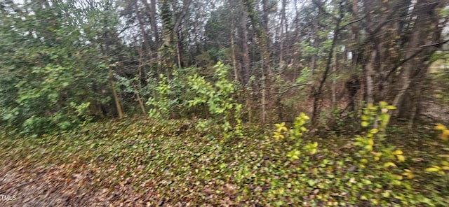 235 Madison Rd, China Grove, NC 28023 - photo 2
