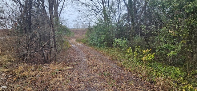 235 Madison Rd, China Grove, NC 28023 - photo 3