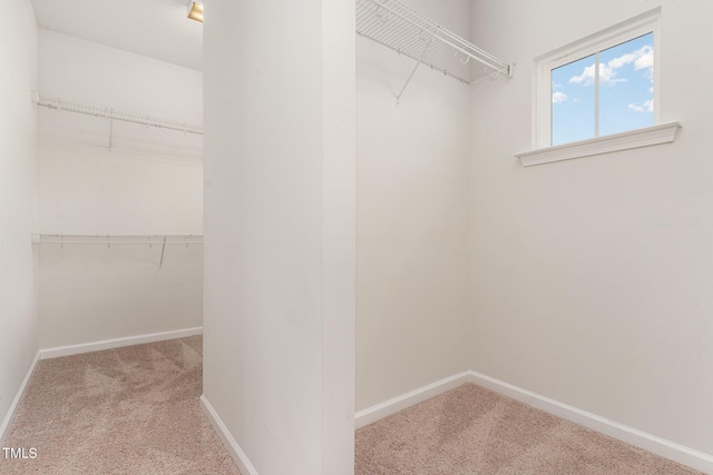 3409 Table Mountain Pine Dr, Raleigh, NC 27616 - spacious closet with carpet flooring