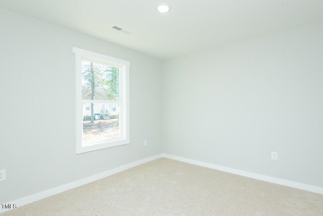 1029 Pinnix Loop, Burlington, NC 27217 - photo 25