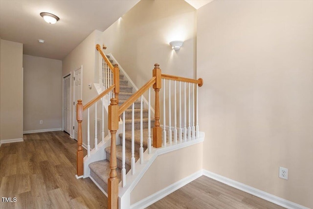 234 Linden Park Ln, Cary, NC 27519 - photo 23