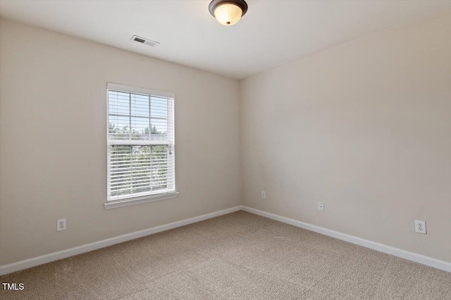 234 Linden Park Ln, Cary, NC 27519 - photo 22