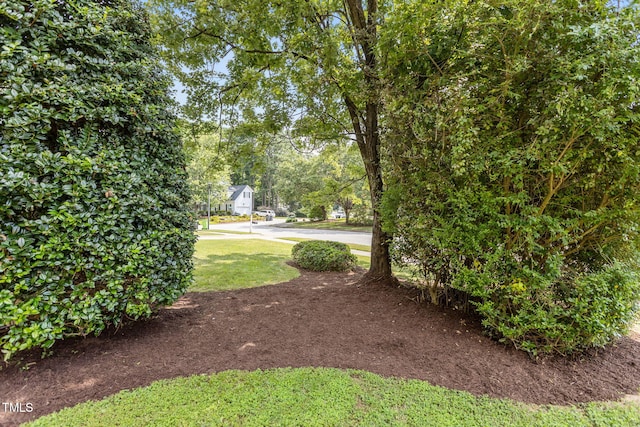 1401 Patterson Grove Rd, Apex, NC 27502 - view of green lawn