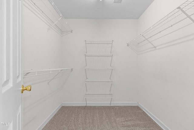 1401 Patterson Grove Rd, Apex, NC 27502 - walk in closet with carpet floors