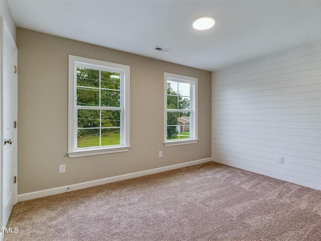 197 Delma Grimes Rd, Coats, NC 27521 - unfurnished room with carpet and wood walls