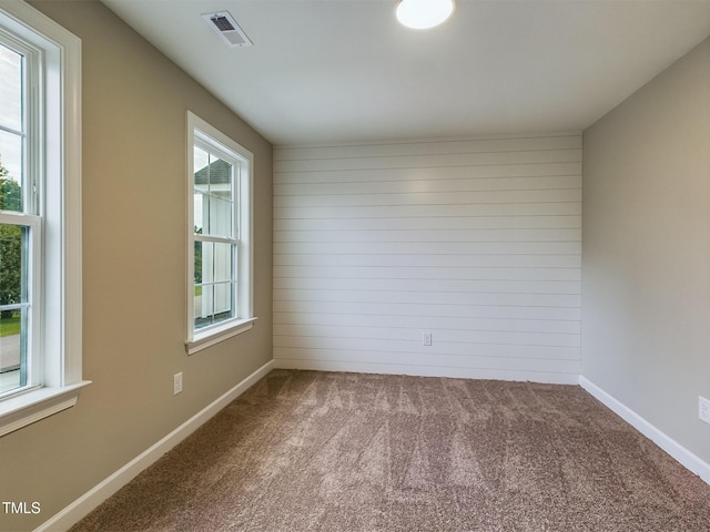 197 Delma Grimes Rd, Coats, NC 27521 - unfurnished room with carpet floors and wooden walls
