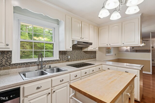 410 Sherron Rd, Durham, NC 27703 - kitchen with dishwasher, wood counters, white cabinets, under cabinet range hood, and tasteful backsplash