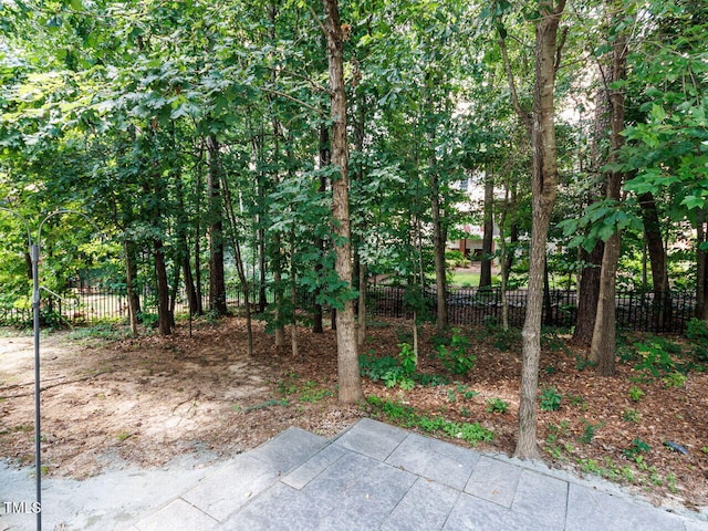 416 Hunsford Pl, Wake Forest, NC 27587 - photo 35
