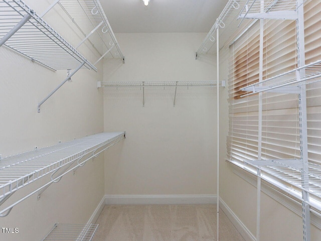 416 Hunsford Pl, Wake Forest, NC 27587 - photo 23