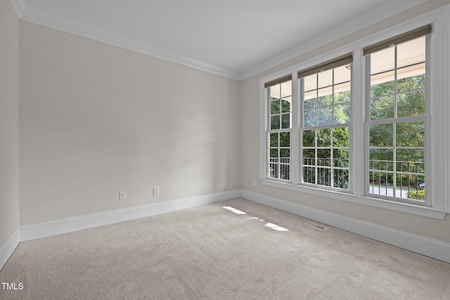 3005 Canopy Woods Dr, Apex, NC 27539 - unfurnished room featuring carpet floors and crown molding