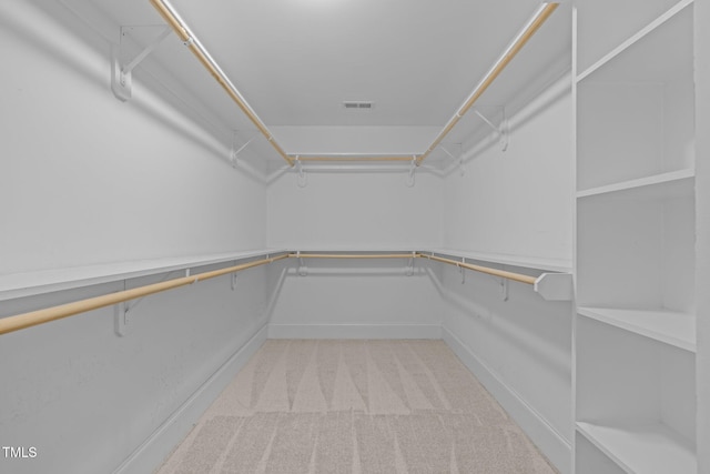 3005 Canopy Woods Dr, Apex, NC 27539 - walk in closet featuring carpet floors