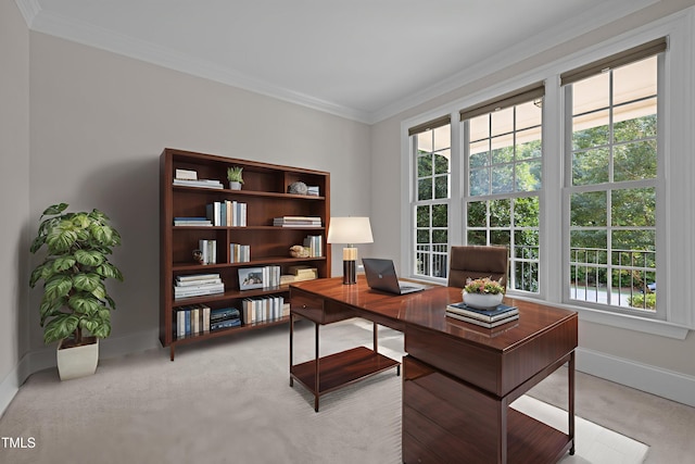 3005 Canopy Woods Dr, Apex, NC 27539 - home office featuring light colored carpet, plenty of natural light, and ornamental molding