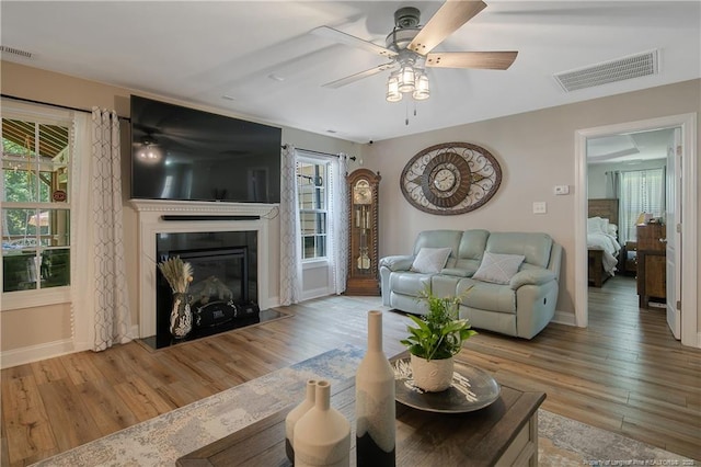 72 Orchard Falls Dr, Spring Lake, NC 28390 - living room featuring a ceiling fan, light wood-style floors, and a glass covered fireplace