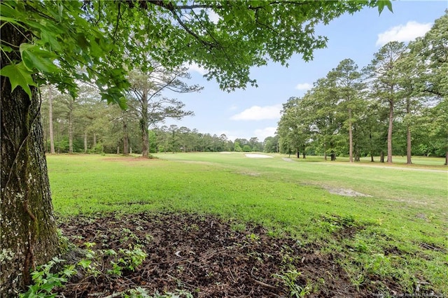 916 Rays Bridge Rd, Whispering Pines, NC 28327 - view of property's community featuring a yard and view of scattered trees