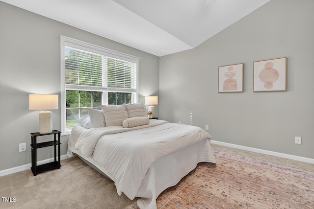 1004 Scotsburg Trl, Hillsborough, NC 27278 - bedroom featuring lofted ceiling and carpet