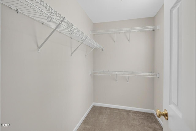1004 Scotsburg Trl, Hillsborough, NC 27278 - spacious closet with carpet