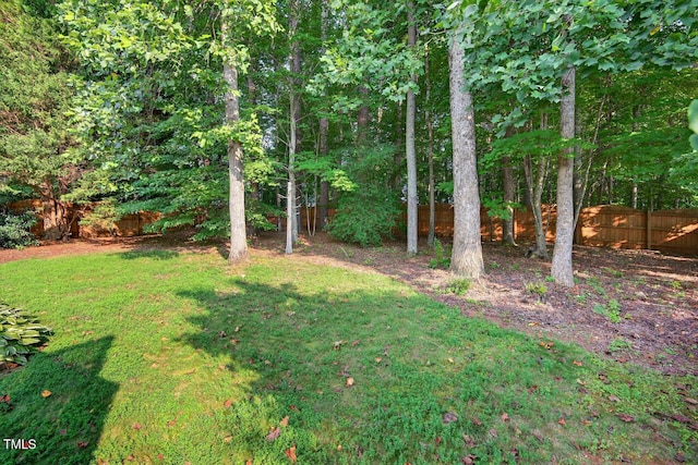 1004 Scotsburg Trl, Hillsborough, NC 27278 - view of yard