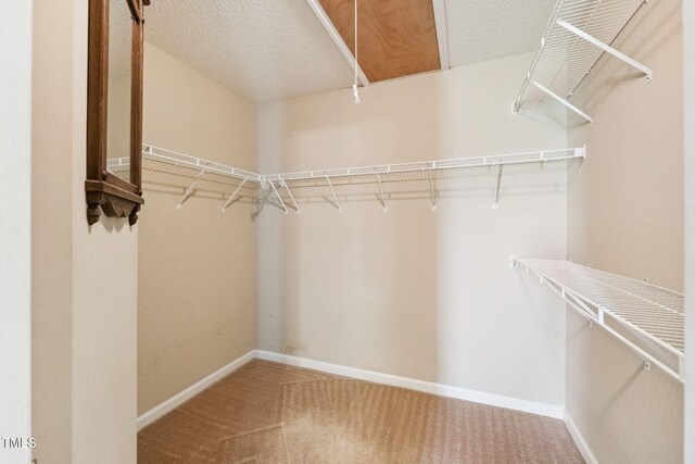 52 Hunters Rdg Trl, Dunn, NC 28334 - photo 20