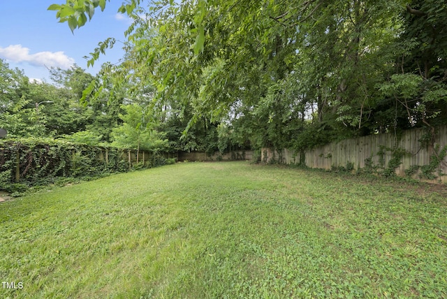 1010 S Person St, Raleigh, NC 27601 - view of fenced backyard