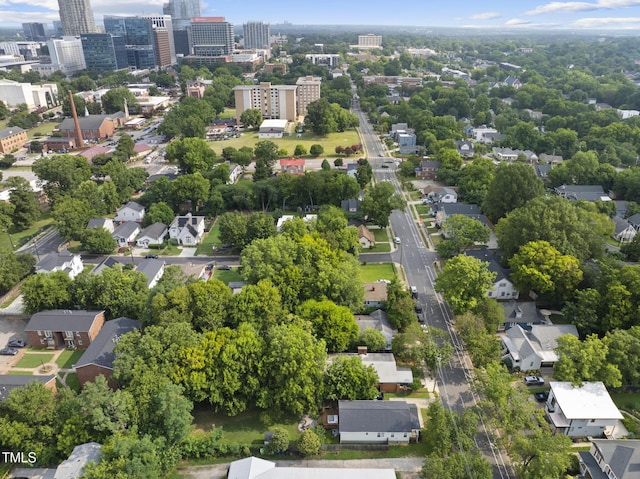 1010 S Person St, Raleigh, NC 27601 - view of urban area featuring nearby suburban area